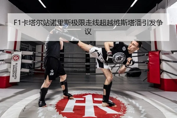 F1卡塔尔站诺里斯极限走线超越维斯塔潘引发争议