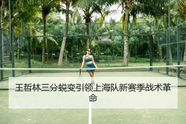 王哲林三分蜕变引领上海队新赛季战术革命